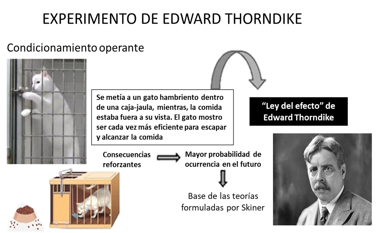 LEYDEL EFECTO THORNDIKE